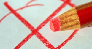 A red pencil sits best a circle with an X through it to indicate a vote