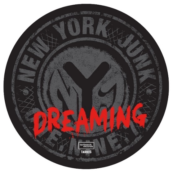 Cover New York Junk Dreaming