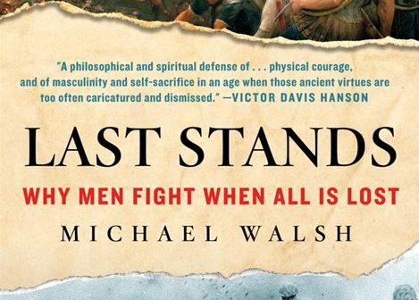 Cover Last Stands