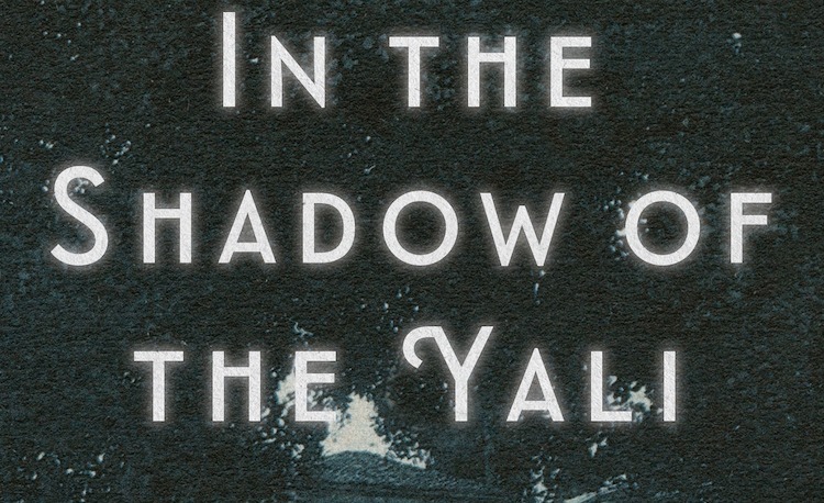 In The Shadow of the Yali Suat Dervis