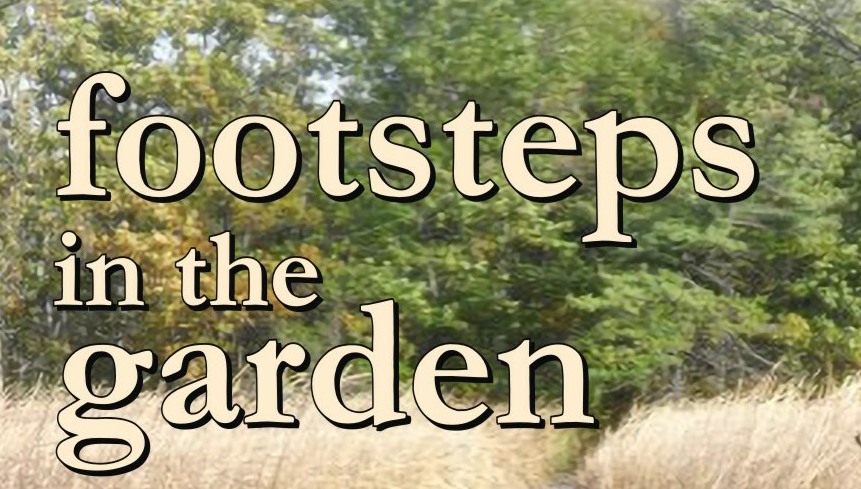 Cover Footsteps in the Garden Bob MacKenzie