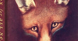 A Fox For All Seasons Journal
