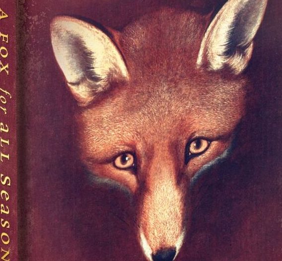 A Fox For All Seasons Journal