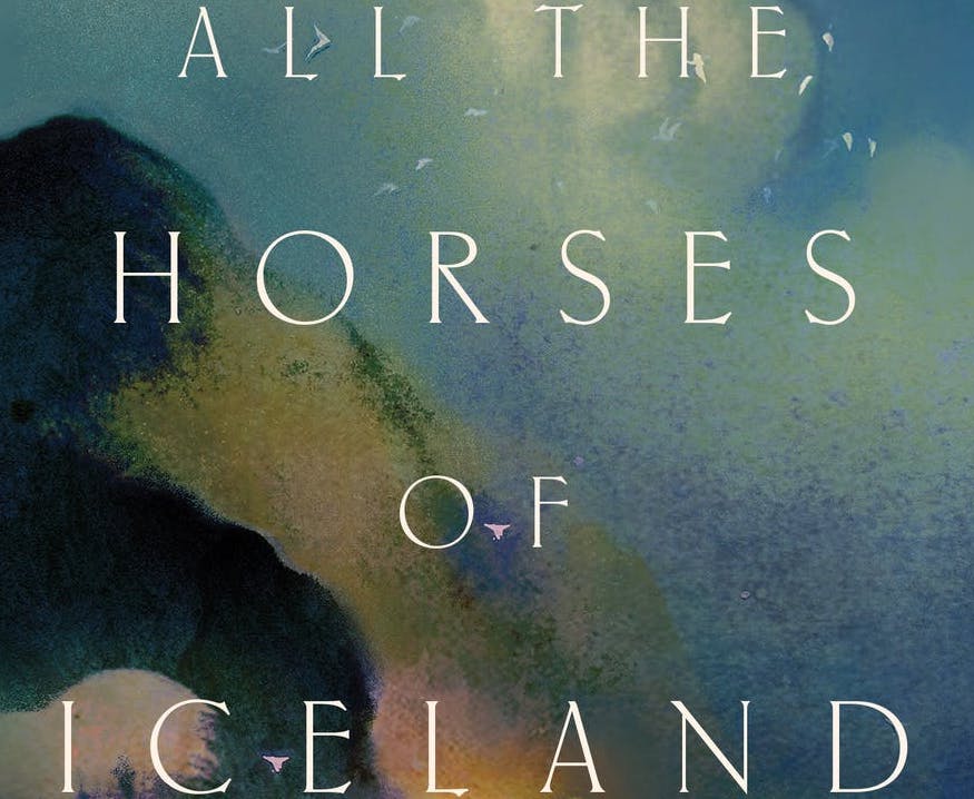 All The Horses of Iceland by Sarah Tolmie