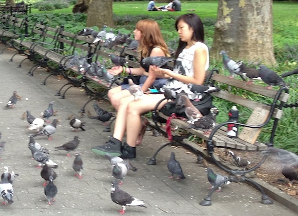 pigeon sisters