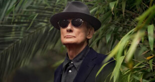 Fell to Earth
