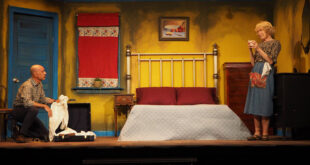 out of the box five by tenn tennessee williams