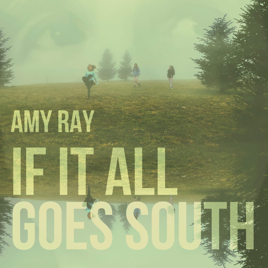 Amy Ray-If It All Goes South CD