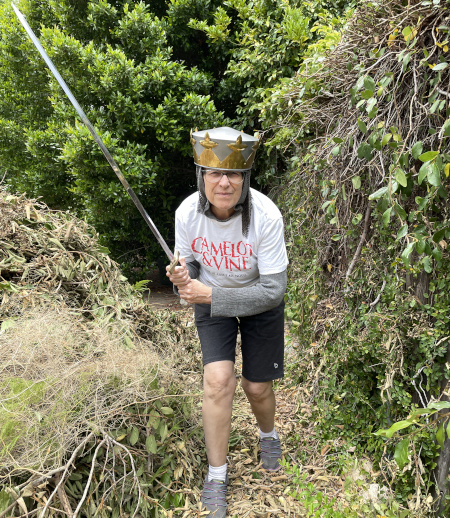 Image of Petrea Burchard wearing a crown and carrying a sword for promoting her book 'Camelot & Vine'