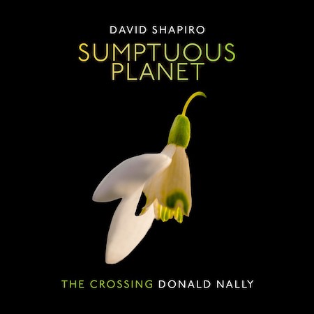 The Crossing - Sumptuous Planet by David Shapiro album cover