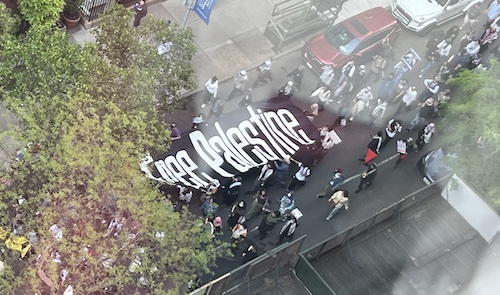 "Free Palestine" March, NYC