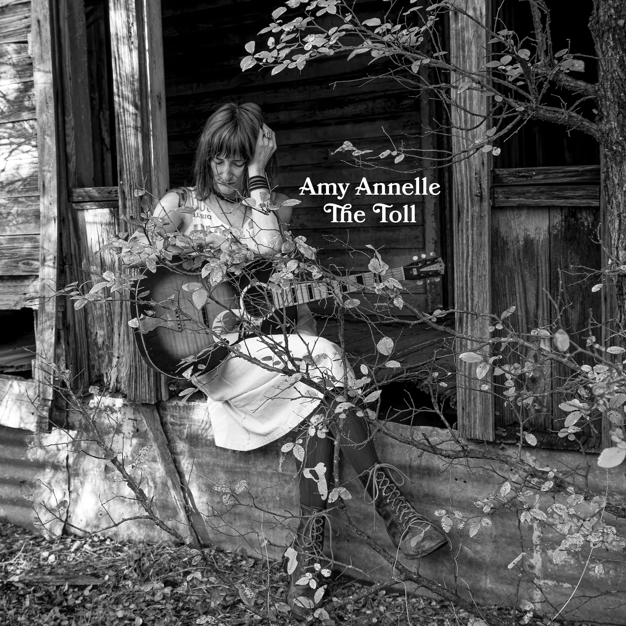 Amy Annelle-The Toll