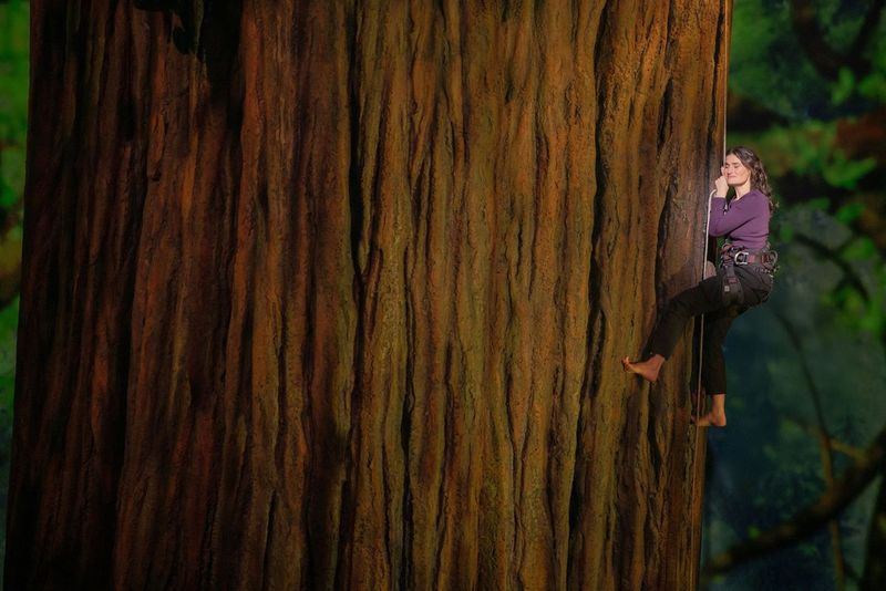Idina Menzel in 'Redwood' (Matthew Murphy and Evan Zimmerman)