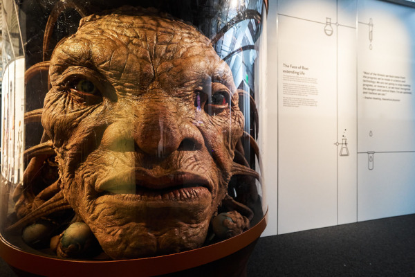 Image of a large brown artifact in the likeness of a face from the Doctor Who Worlds of Wonder exhibit