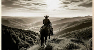Willie Nelson Beautiful World