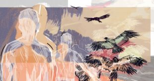 Alejandro Florez 'Beaches of Riches' album cover detail