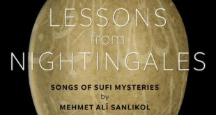 Lessons from Nightingales cover detail