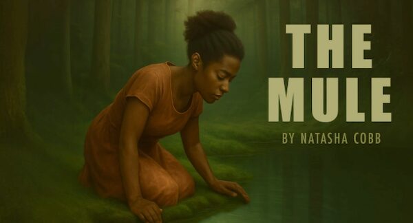 'The Mule' poster art