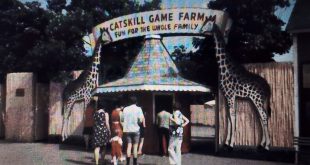 'American Zoo' at the 25th Tribeca Festival (courtesy of Tribeca Festival)