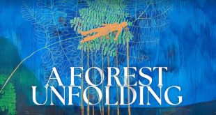 A Forest Unfolding album cover detail