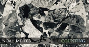 Noah Meites 'Coutning' album cover detail