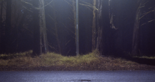 David Bird Hinterlands album cover detail