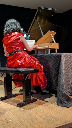 Reiko Aizawa, Village Trip Festival, 27 September 2026 (©Liz Thomson / The Village Trip)